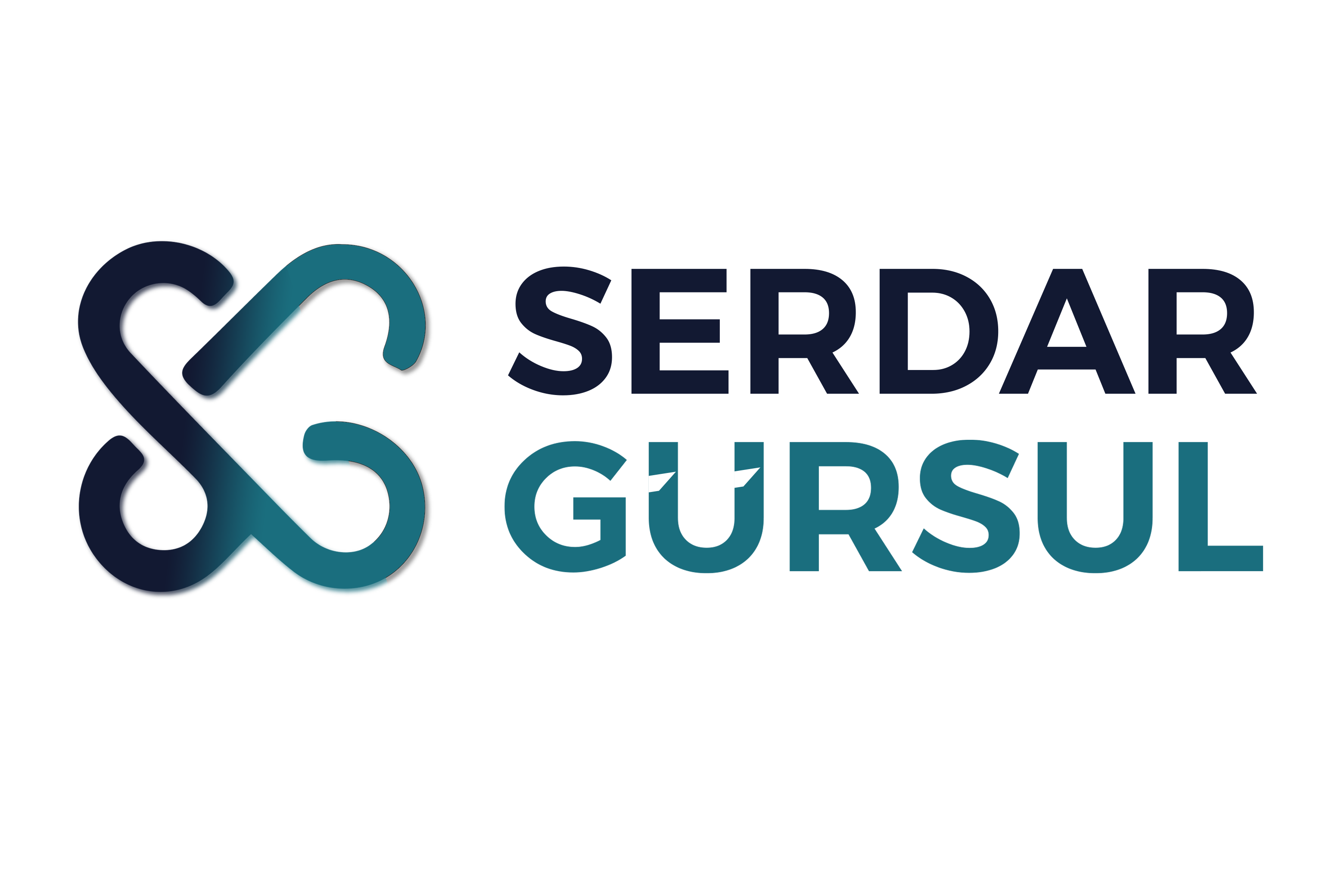 Op. Dr. Serdar Gürsul - Obezite Cerrahisi